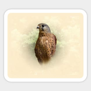 Kestrel Sticker